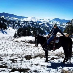 Meet your Posher, Tami